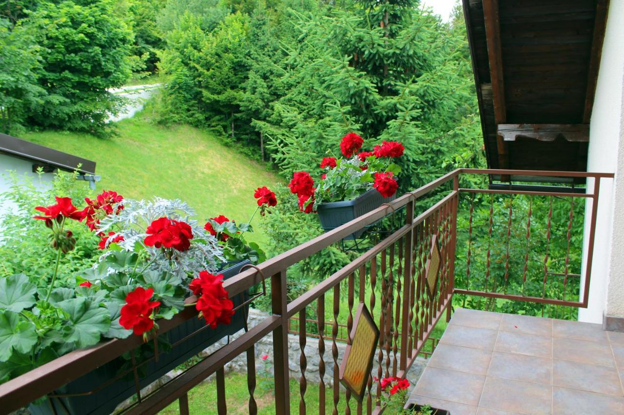 Kuca Za Odmor Cicki Vrh Villa Brestova Draga Exteriör bild