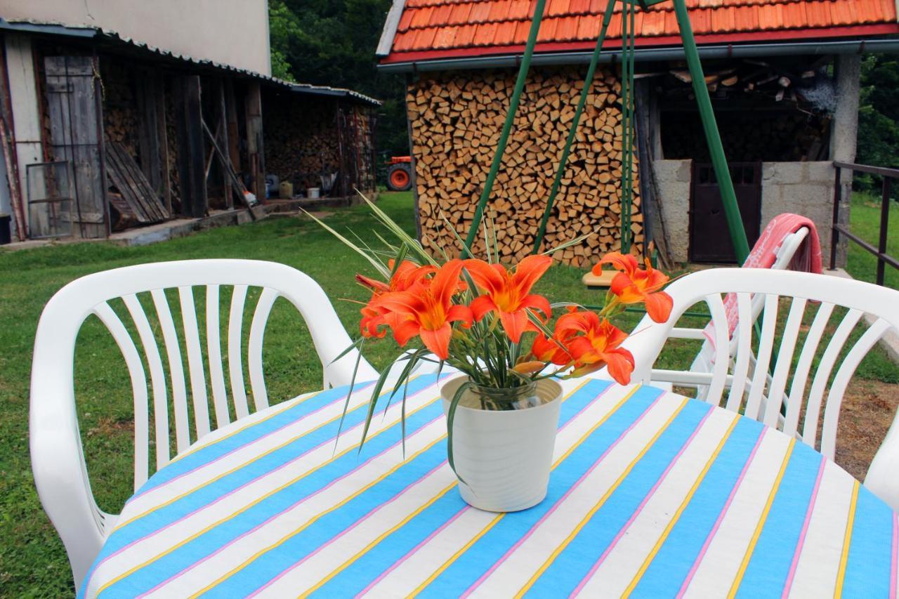 Kuca Za Odmor Cicki Vrh Villa Brestova Draga Exteriör bild