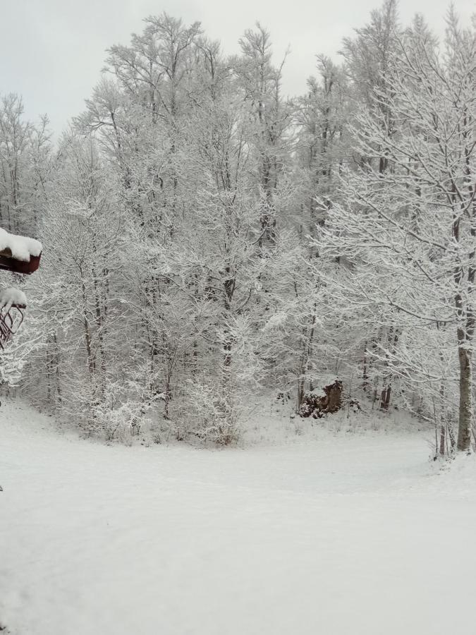 Kuca Za Odmor Cicki Vrh Villa Brestova Draga Exteriör bild